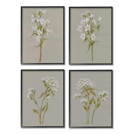 Stupell Industries Vintage White Wild Flower Study Soft Petals in Frame Wall Art